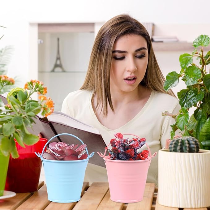 MIDELONG Mini Metal Buckets with Handles, 2 Inch Small Colored Galvanized Tin Pails Craft Bucket for Wedding Succulent Birthday Party Supplies, Pack of 6