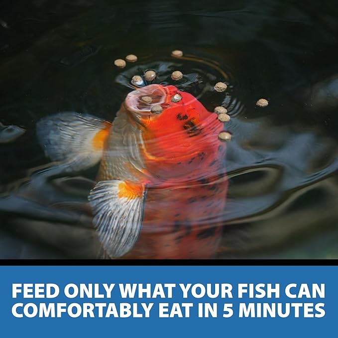CrystalClear Staple Pond Fish Food for Healthy Koi & Goldfish, Protein Packed Floating Pellets for Summer Nutrition, Easy Digestion, 40 Pound Bucket