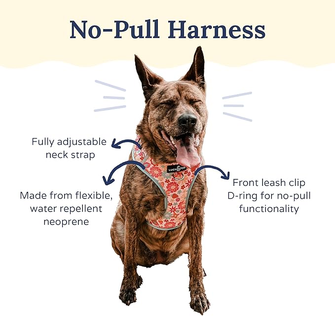 Lucy & Co. The Y2K Baby No-Pull Dog Harness - Size Small - Vest to Stop Pulling & Walk Easy - Comfortable Leash Training Product w/Adjustable Chest & Neck Straps