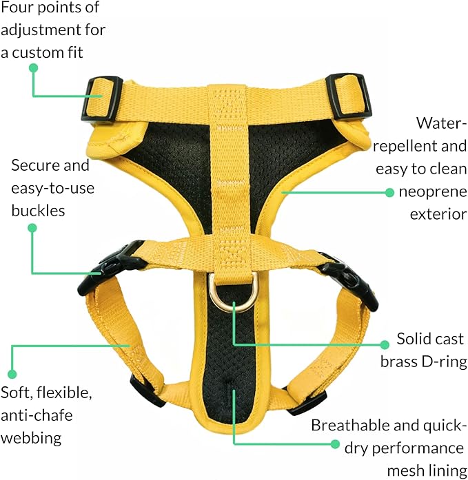 DJANGO Adventure Dog Harness - Stylish Medium Dog Harness for Outdoor Adventures and Everyday Wear - Dandelion Yellow Neoprene Adjustable Harness for Dogs with Reflective Piping and Solid Brass D-ring