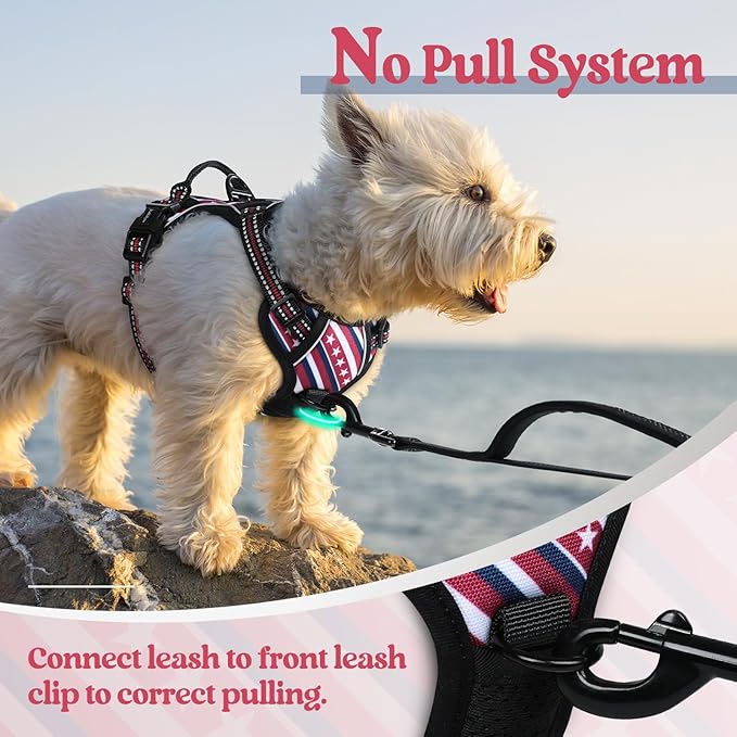 rabbitgoo Dog Harness No Pull with 2 Leash Clips, Adjustable Soft Padded, Reflective Oxford No Choke Pet Vest with Easy Control Handle for Large Dogs, Red Stripe, XS