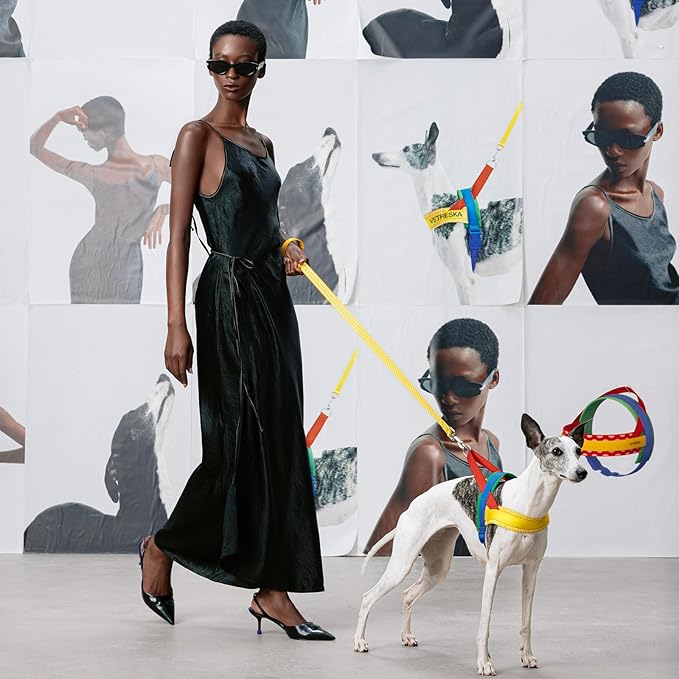 VETRESKA MoMA Dog Harness and Leash Set, Easy Walk Dog Harness for Large Dogs, No Pull Puppy Harness for Walking and Training, Adjustable, Take Control & Anti-Twist Pet Lead Combo(Yellow, L)