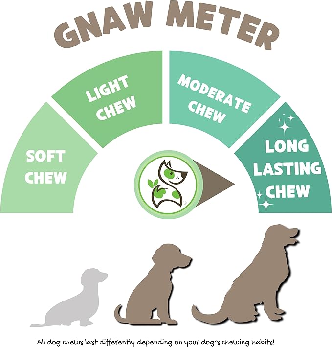 Nature Gnaws Bully Stick Springs for Dogs 7-8" (6 Count) - Long Lasting for Aggressive Chewers - Natural Curly Beef Dog Chew Bones - Rawhide Free