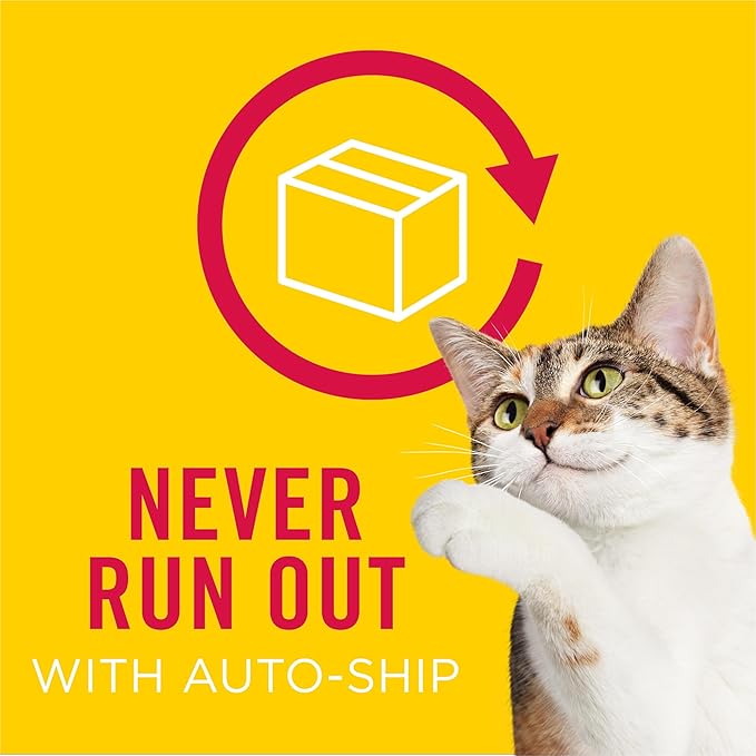 Purina Friskies All-Star Faves Wet Cat Food Complements Variety Pack - 8 ct. Box