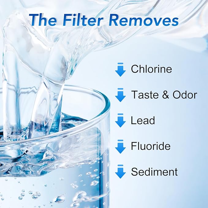 ICEPURE NSF53&42 5-Stage Pitcher Water Filter Replacement for ZERO ZR-001, ZR-003, ZR-017,ZP-007RP, ZD-013W, ZS-011RP, ZD-012RP, Pitchers and Dispensers Replacement [2 Pack]
