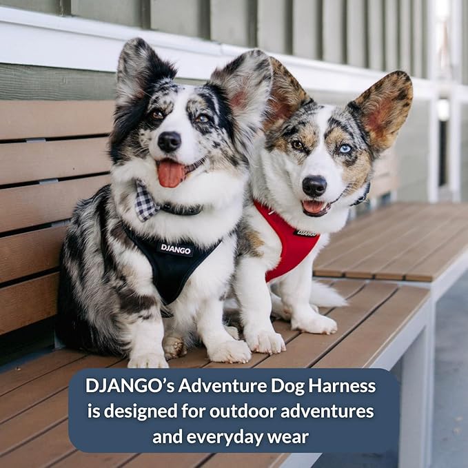 DJANGO Adventure Dog Harness - Stylish and Durable Medium Dog Harness for Outdoor Adventures and Everyday Wear - Red Neoprene Adjustable Harness for Dogs with Reflective Piping, Solid Brass D-Ring