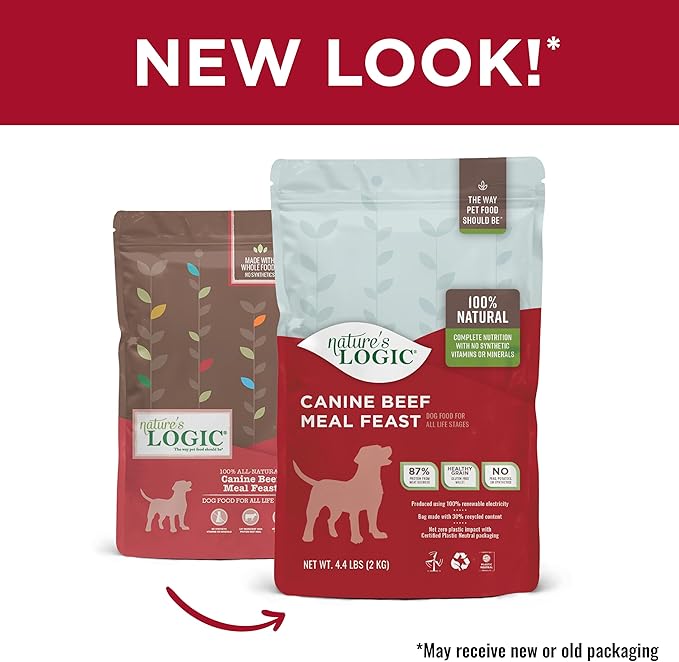 Nature's Logic Dry Dog Food - 100% Natural - No Synthetics - For All Ages, Sizes, Breeds - Free From Common Allergens, High Protein - Beef Meal Feast, 4.4lbs