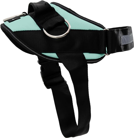 ShawnCo Essential Dog Harness, No-Pull Pet Vest with 3 Leash Clips, No Choke, Reflective, Adjustable and Padded, for Easy Walking and Training for Small, Medium and Large Dogs (Seafoam, S)