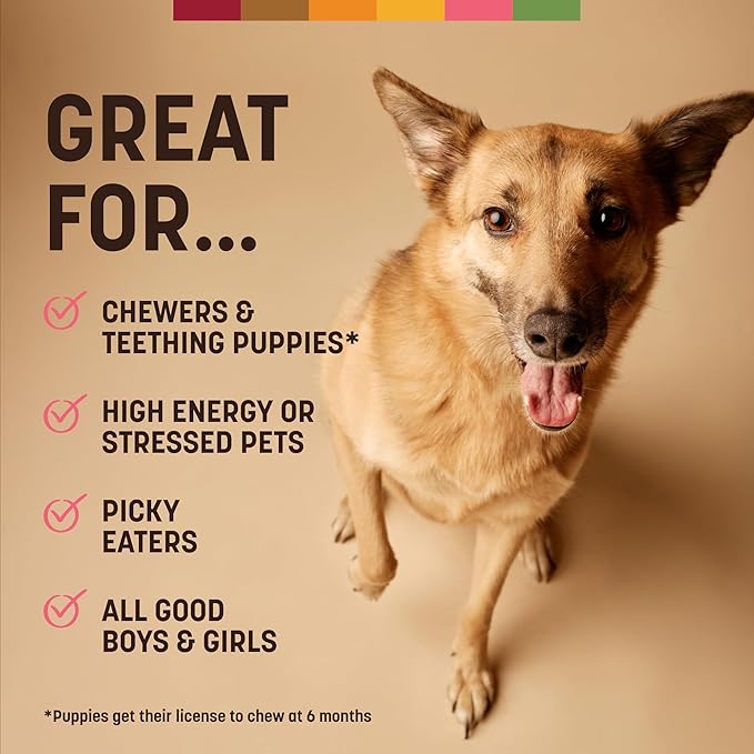 Earth Animal No Hide Medium Salmon Flavored Natural Rawhide Free Dog Chews Long Lasting Chew Sticks | Treats for Large Dogs | Great for Aggressive Chewers - 6 Count