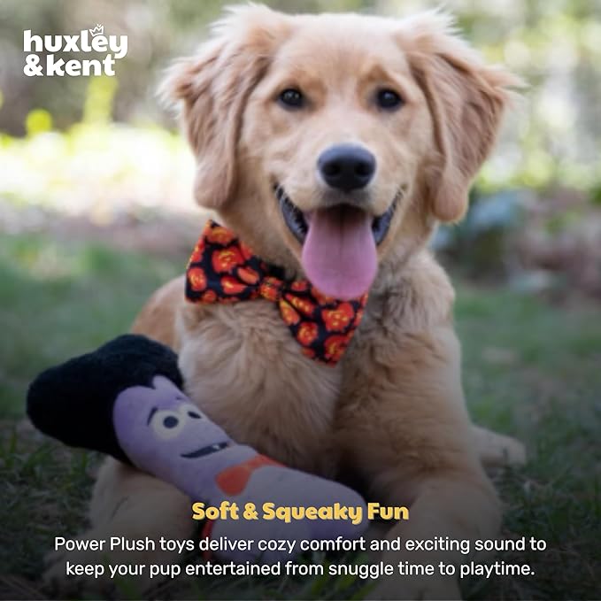 Huxley & Kent Halloween Funny Dog Toy w/Squeaker – Power Plush Squeaky Dog Toys for Small, Medium & Large Dogs – Soft Stuffed Animal for Indoor Play & Fetch - Dracula Bone, One Size