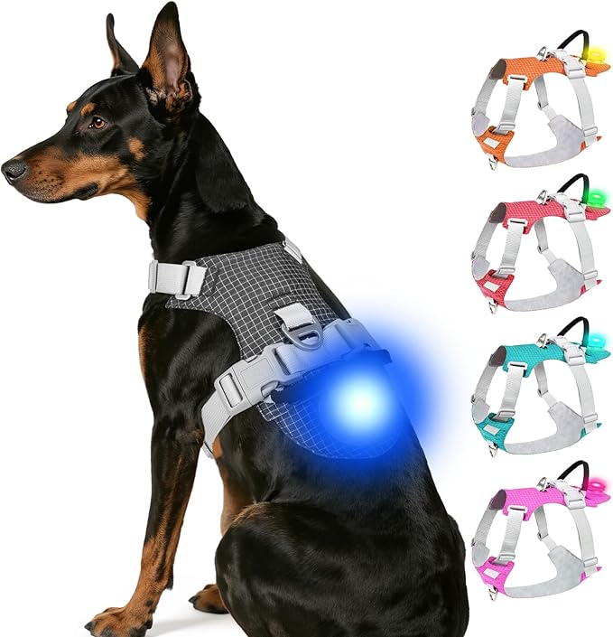 Joytale Lightweight Light Up Dog Harness, Rechargeable No-Pull LED Dog Harness with Detachable Light Box, Airtag Holder, Adjustable for Night Walking, Running & Everyday Use, Black, XL