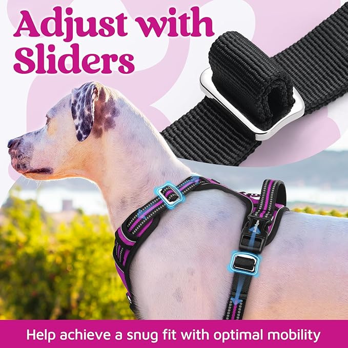 rabbitgoo Dog Harness Small Sized, No Pull Dog Vest with 3 Buckles, Adjustable Soft Padded Pet Harness with Easy Control Handle and Reflective Strips, Purple, S