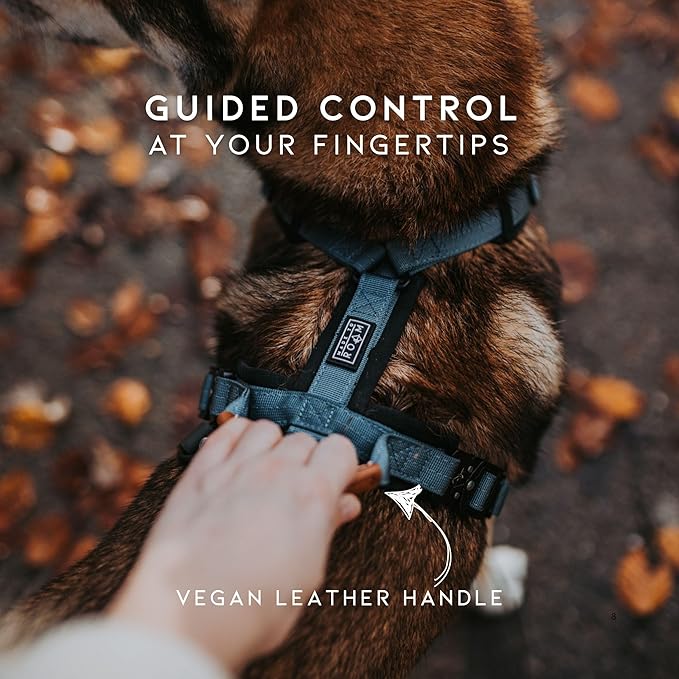 MADE TO ROAM Premium Explorer Harness - Y-Shaped Dog Harness with Adjustable Durable Nylon, Soft Padding, Metal Buckles and Leather Handle for Small, Medium, Large Dogs (Washington Rain, Size 7)