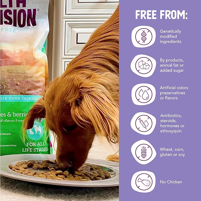 Health Extension Grain Free Duck & Sweet Potato Dry Dog Food (10 lb / 4.54 kg) - Lean Protein Formula with Turmeric & Antioxidants for Healthy Skin & Digestion