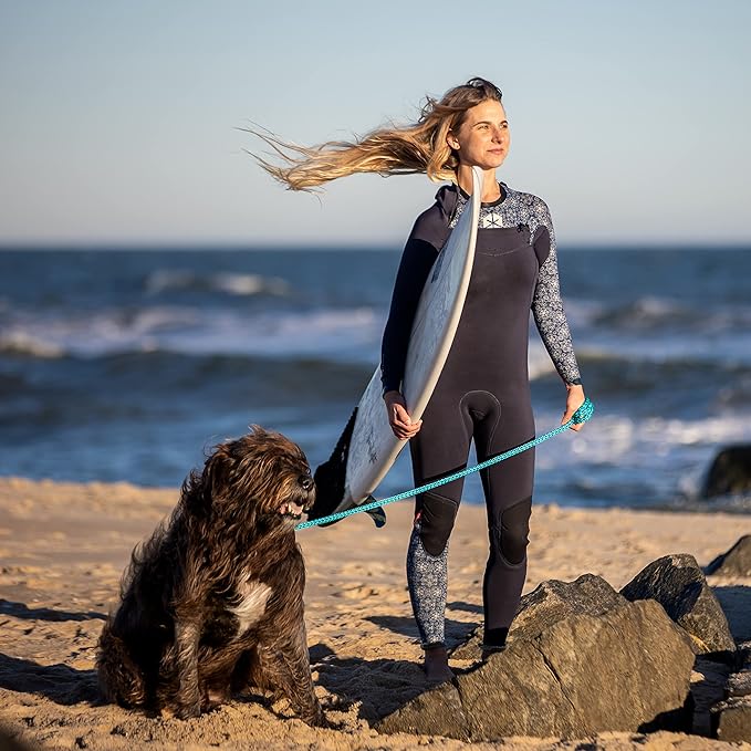 Harness Lead No Pull Dog Harness and Leash Set, Anti Pull Dog Harness for All Breeds and Sizes, One-Piece Cushioned Rope Design Safely Prevents Escaping and Pulling (Medium/Large, Blue/Multi)