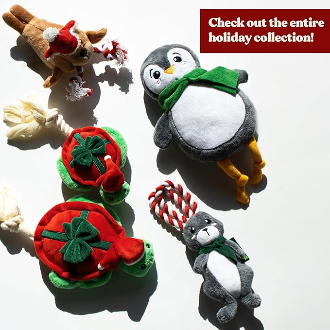 Dog Toys | Holiday Plush Toy Bundle - Walrus, Hare, Turtle Stuffed Animal for Dogs (Value 3-Pack) | Small Eco Friendly Toy - Easy to Clean and Made from Non Toxic Materials