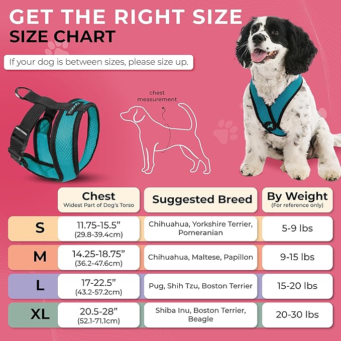 Gooby Comfort X Head in Harness - Turquoise, Large - No Pull Small Dog Harness, Patented Choke-Free X Frame - On The Go Dog Harness for Medium Dogs No Pull or Small Dogs for Indoor and Outdoor Use