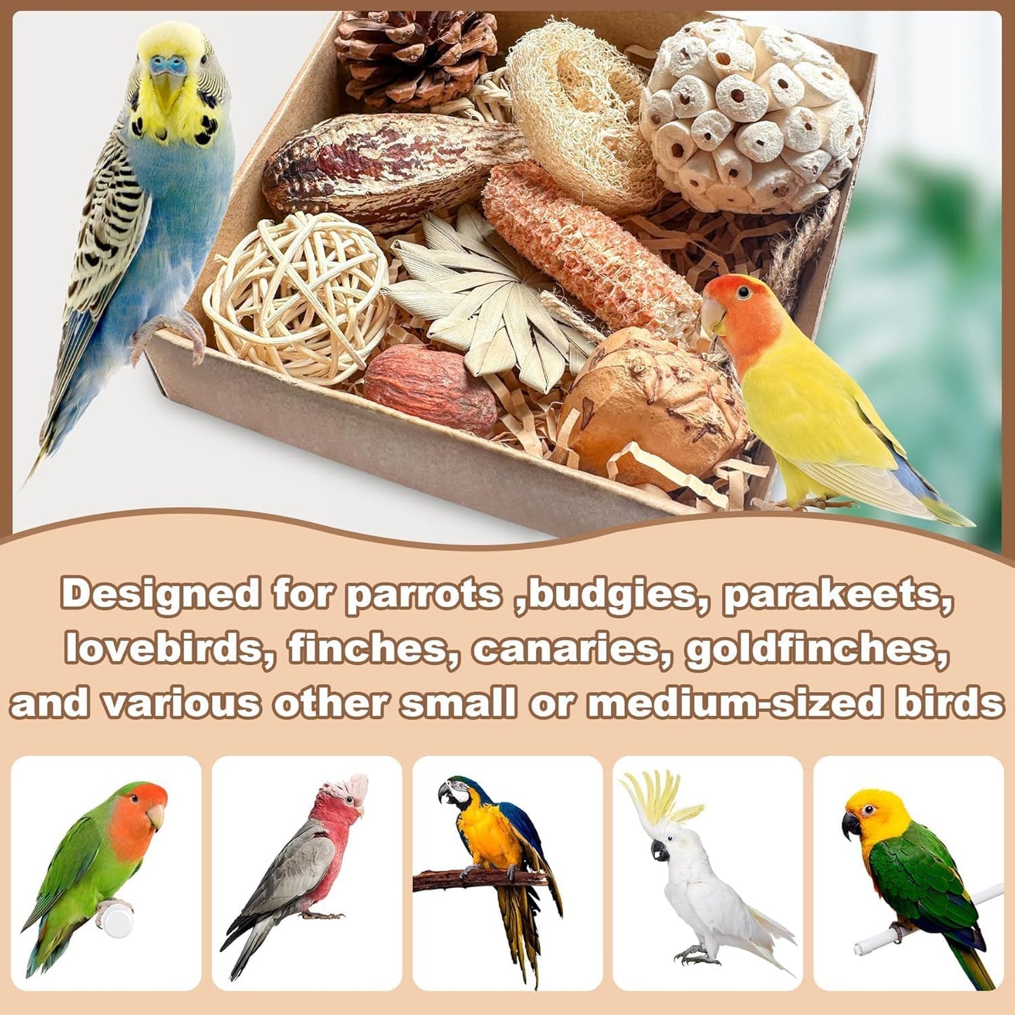 Parrot Toys, Tyotrbs Bird Toys Parakeet Toys for Birds Budgie Shredder Hanging Set Cockatiel ChewToys Parrot Climbing CageToy Lovebird Cage Accessories for Small or Medium Parrots