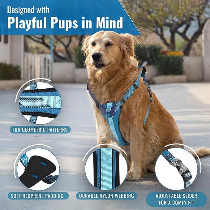 No-Pull Dog Harness with Handle - Escape Proof, Anti-Pulling, Grip Control, Multi-Angle Reflective for Safe Walks & Training, Easy On & Off, Metal Buckle–Pet Harness, Medium/Large Dogs- H3- Blue