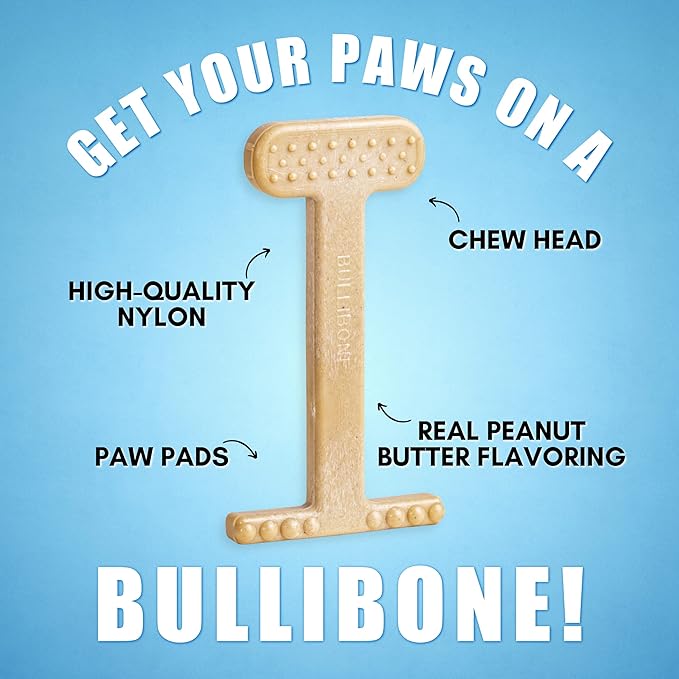 Bullibone Nylon Dog Chew Toy Nylon Bone - Improves Dental Hygiene, Easy to Grip Bottom, and Permeated with Flavor (Peanut Butter, Large - 3 Pack)