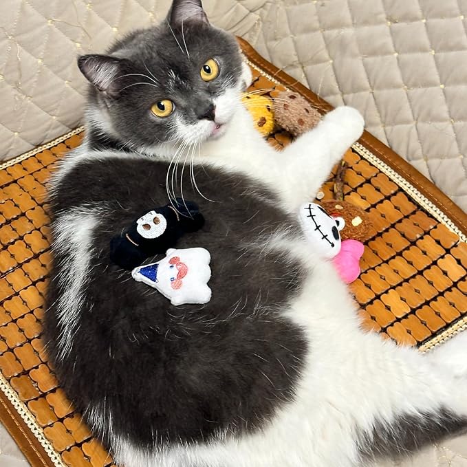 6 Pack Catnip Toy, Filled Teething Chew Toys, Interactive Kitten Chew Bite Toys for Boredom Relief, for Cats and Cat Lovers