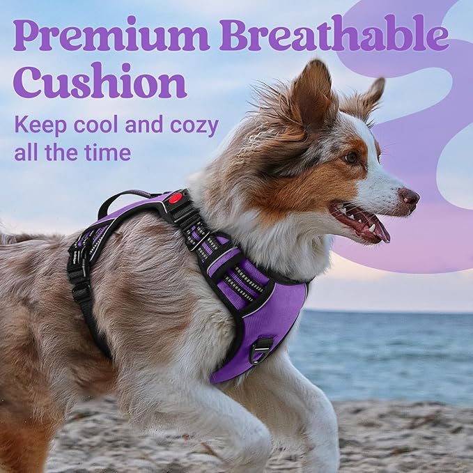 rabbitgoo Dog Harness for Large Dogs, No Pull Pet Harness with Soft Padded Handle, Adjustable Reflective Vest with 3 Buckles, Easy Walking Harness with 2 Leash Clips, Purple, L