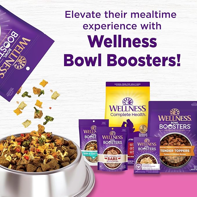 Wellness Complete Health Dry Dog Food for Small Dogs, Toy Breed, Wholesome Grains, Natural, Chicken, Brown Rice, & Peas Recipe, 4-Pound Bag