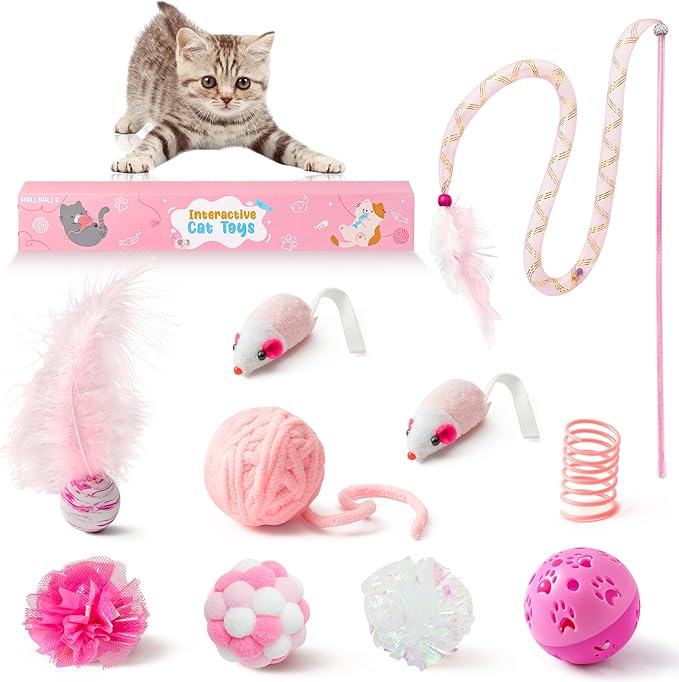 MALLMALL6 10Pcs Cat Toy Set Interactive Cat Toys Pack Including Feather Teaser Wand Cat Springs Mice Crinkle Balls and Pet Bell Balls, Puzzle Toys for Indoor Cats Gift (Pink)