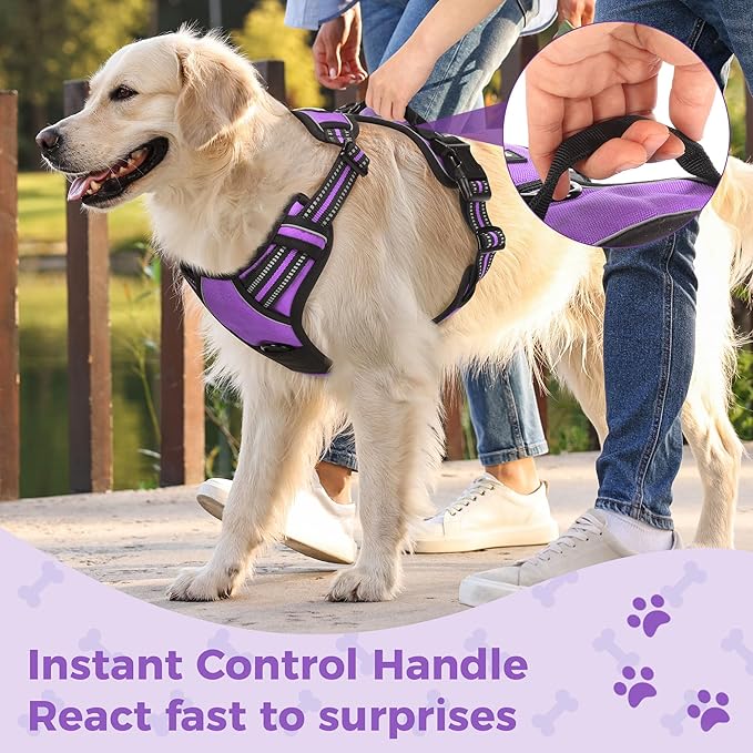 Funfox Dog Harness No Pull, Adjustable Pet Vest Harness Purple M with Handle, 2 Leash Clips for Daily Walking Easy Control, Soft Durable Reflective Comfortable for Medium Sized Dogs