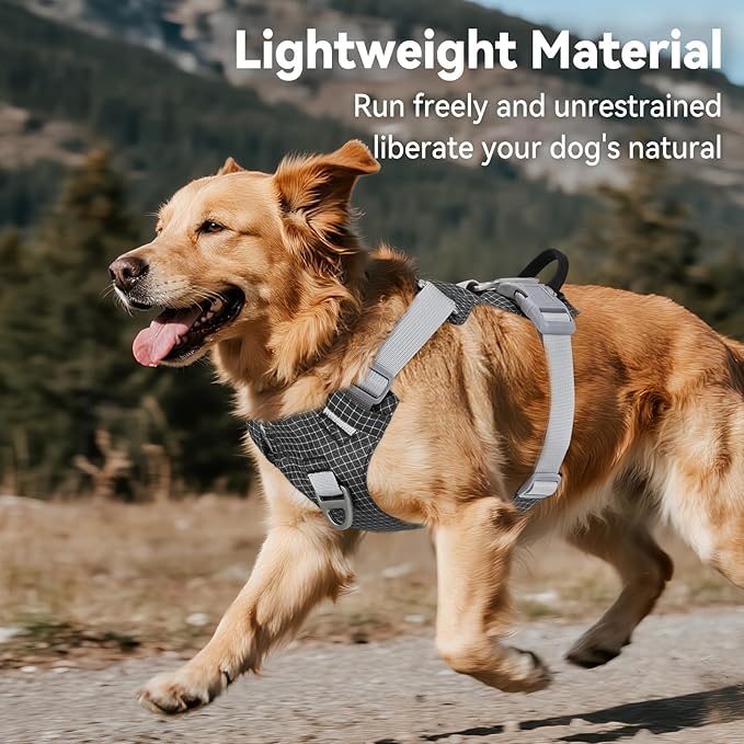 Joytale Lightweight Light Up Dog Harness, Rechargeable No-Pull LED Dog Harness with Detachable Light Box, Airtag Holder, Adjustable for Night Walking, Running & Everyday Use, Black, M