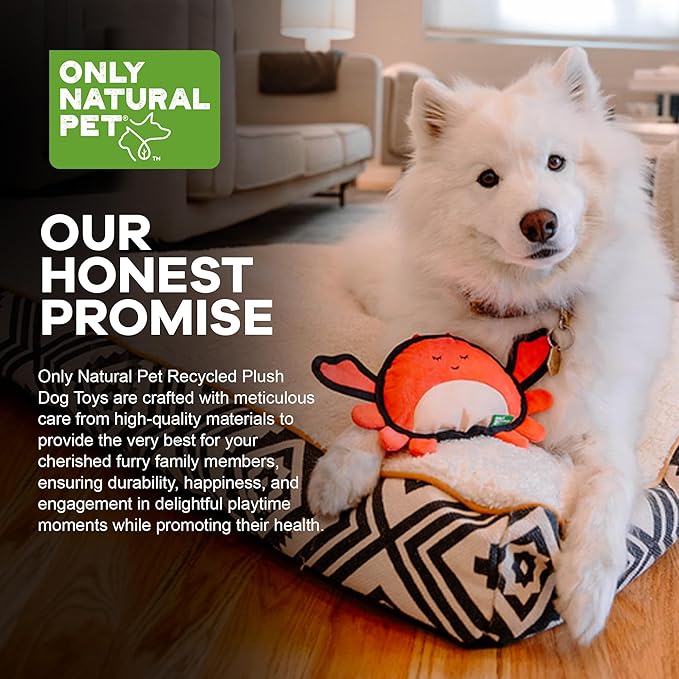 Only Natural Pet Sea Creatures Recycled Plush Dog Toys - Durable Double-Stitched Design with Internal Squeaker, Crinkle Pincers & Plush Feet - Stuffed Toy for Dogs, Pet Toy | Clara The Crab, 11" x 6"