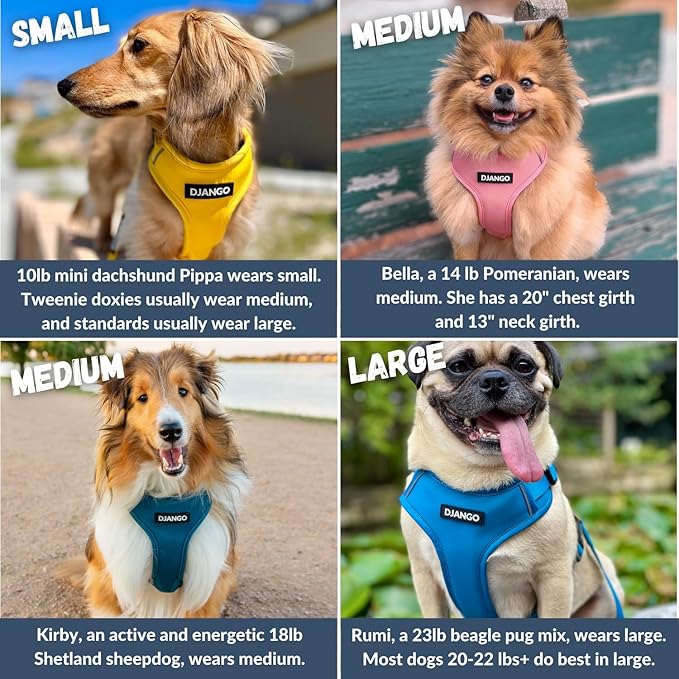 DJANGO Adventure Dog Harness - Stylish Medium Dog Harness for Outdoor Adventures and Everyday Wear - Dandelion Yellow Neoprene Adjustable Harness for Dogs with Reflective Piping and Solid Brass D-ring