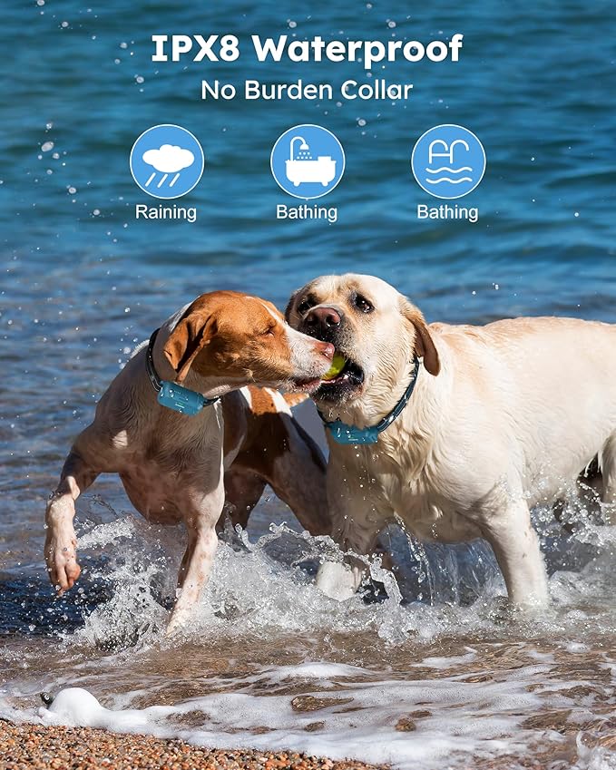 Jugbow Dog Shock Collar 2 Dogs - 4200FT Dog Training Collar with Remote, IPX8 Waterproof E Collar for Dogs Training, Rechargeable Collars for Dogs (10-120lbs)