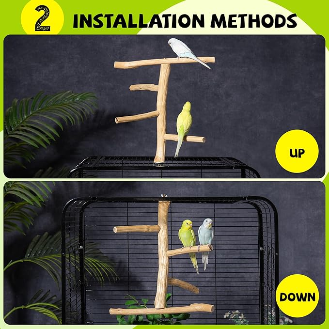 Natural Wood Bird Perch & Play Stand for Parakeets/Cockatiels - Multi-Level Cage Accessory with Training Branch