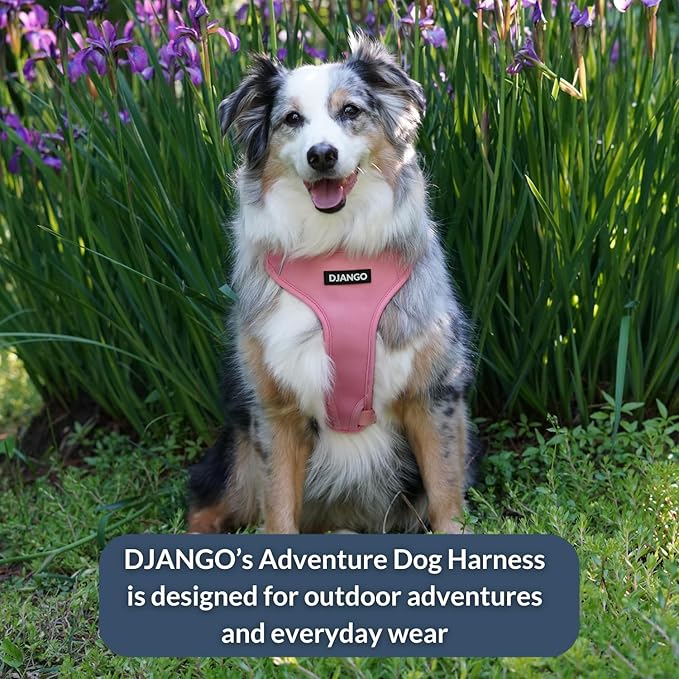 DJANGO Adventure Dog Harness - Stylish, and Durable Large Dog Harness for Outdoor Adventures and Everyday Wear - Quartz Pink Neoprene Adjustable Harness for Dogs with Reflective Piping, Brass D-Ring