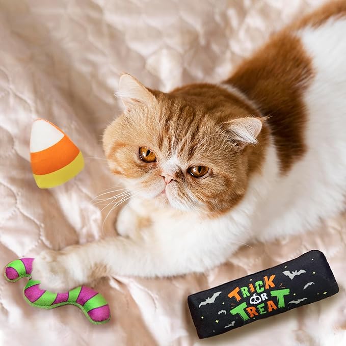 8 Assortments Halloween Value Pack, Natural Interactive Catnip Cat Toys, Toy with Crinkle and Feather, Accessories for Indoor Cat, Kitten Toys