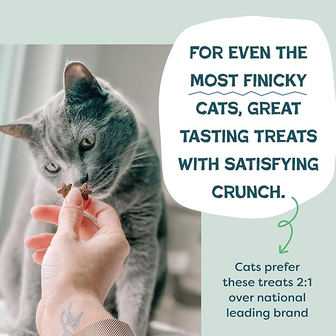 Shameless Pets Crunchy Cat Treats - Catnip Treats for Cats with Digestive Support, Natural Ingredients Kitten Treats with Real Chicken, Healthy Flavored Feline Snacks - Catnip N Chill, 3-Pk