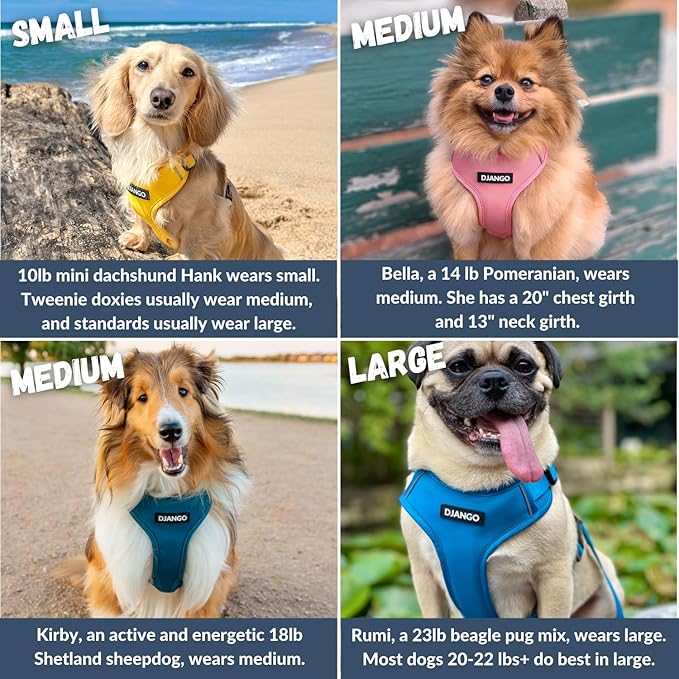 DJANGO Adventure Dog Harness - Stylish & Durable Small Dog Harness for Outdoor Adventures and Everyday Wear - Pacific Blue Neoprene Adjustable Harness for Dogs with Reflective Piping, Brass D-Ring