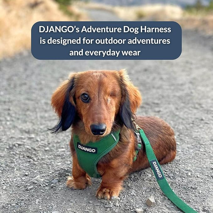 DJANGO Adventure Dog Harness - Stylish and Durable Large Dog Harness for Outdoor Adventures and Everyday Wear - Forest Green Neoprene Adjustable Harness for Dogs with Reflective Piping & Brass D-Ring