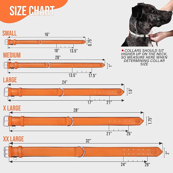 Riparo Orange Leather Dog Collar - Heavy Duty Wide Dog Collar for Small, Medium, Large and Extra Large Dogs with Dog Tag Holder (M: 1" Wide for 13.5”-17.5” Neck, Orange)