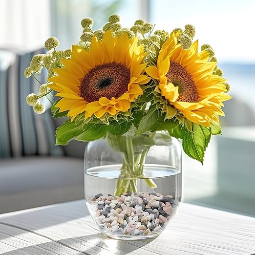 5 lbs Small Rocks for Succulents, 1/5 Inch Pebbles for Indoor Plants, Decorative Pea Gravel for Terrarium, Vases, Aquariums, Fish Tank, Drainage Rocks for Potted Plants, Bamboo,Crafts, Cactus