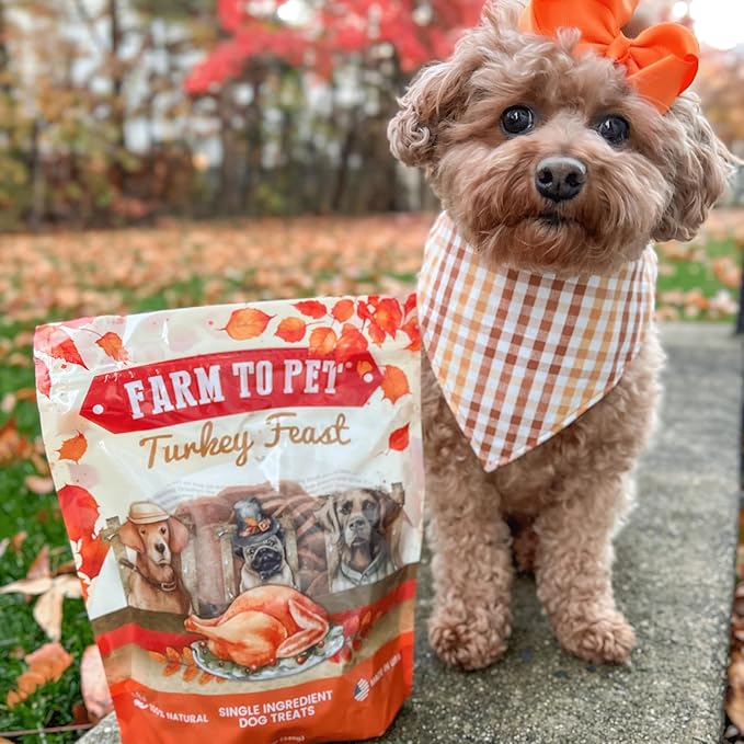 Farm To Pet Turkey Feast Chips Dog Training Treats - Turkey Chips, Single Ingredient, Lean, All Natural, Healthy Treats for Small, Medium, Large Dog Breeds, & Puppies, Made in USA