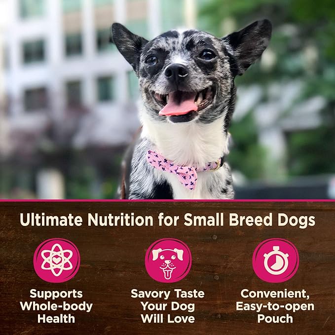 Wellness CORE Natural Grain Free Small Breed Mini Meals Wet Dog Food, Chunky Chicken & Tuna Dinner in Gravy, 3-Ounce Pouch (Pack of 12)