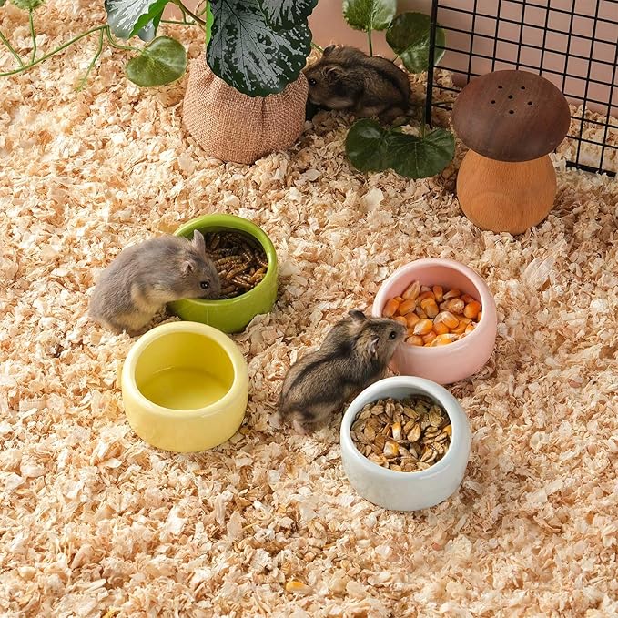 VanEnjoy 4 Pack Small Hamster Food Bowl Ceramic Guinea Pig Food Dish No Spill Hamster Food and Water Bowl Small Animal Food Bowl - Pink Blue Yellow and Green