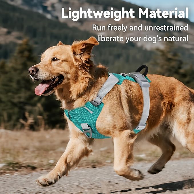 Joytale Lightweight Light Up Dog Harness, Rechargeable No-Pull LED Dog Harness with Detachable Light Box, Airtag Holder, Adjustable for Night Walking, Running & Everyday Use, Light Blue, XS