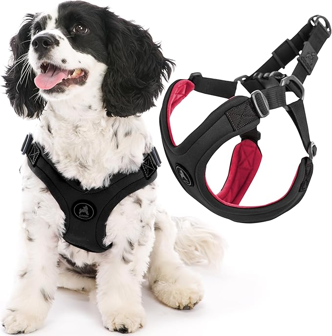 Gooby Escape Free Sport Harness - Black, Large - No Choke Step-in Patented Neoprene Small Dog Harness with Four-Point Adjustment - Perfect on The Go Dog Harness for Medium Dogs No Pull and Small Dogs