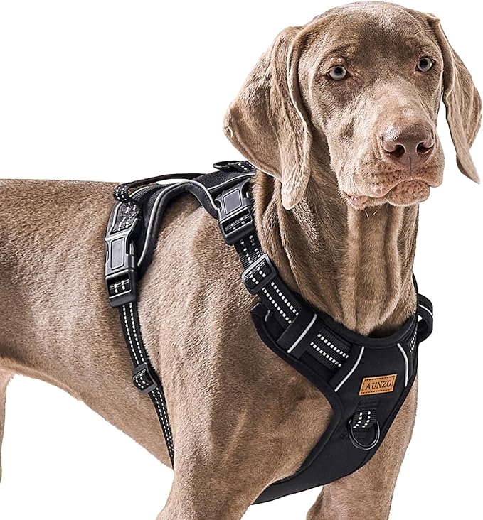 No Pull Dog Harness for Large Dogs, Golden Retriever, Labrador, German Shepherd etc, Easy to Put On and Take Off, Reflective, No Choke, Adjustable and Padded Pet Vest Harness, Black, L