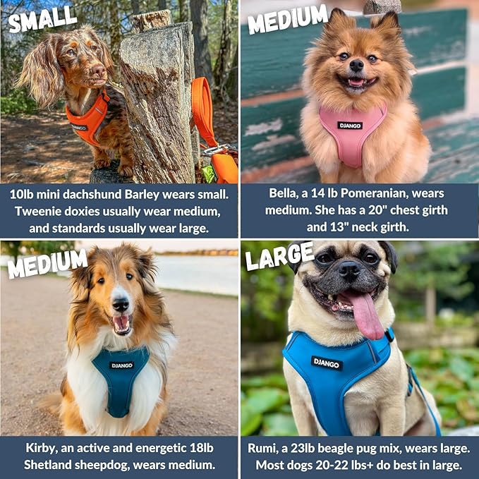 DJANGO Adventure Dog Harness - Stylish, & Durable Medium Dog Harness for Outdoor Adventures and Everyday Wear - Sunset Orange Neoprene Adjustable Harness for Dogs with Reflective Piping & Brass D-ring