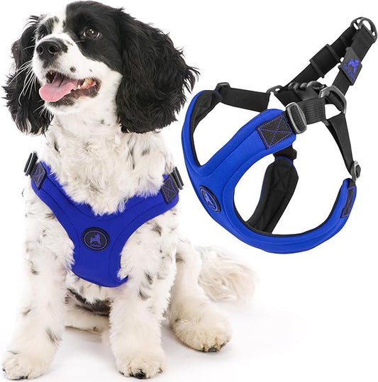 Gooby Escape Free Sport Harness - Blue, Large - No Choke Step-in Patented Neoprene Small Dog Harness with Four-Point Adjustment - Perfect on The Go Dog Harness for Medium Dogs No Pull and Small Dogs