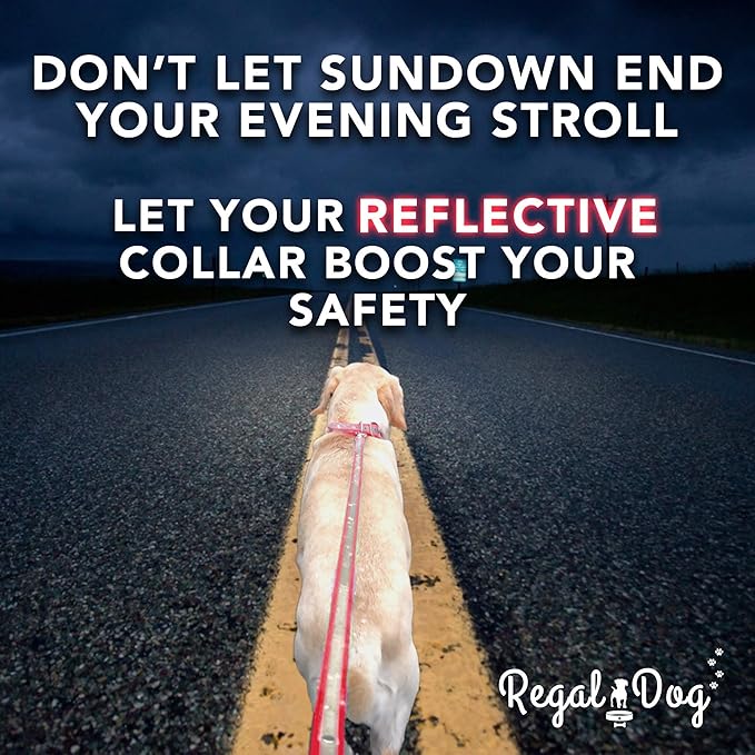 Regal Dog Products Medium Yellow Heavy Duty Reflective Dog Collar with Durable Metal Buckle and D Ring Adjustable, Chew Proof & Waterproof Center Ring | Strong Small Dog Collar